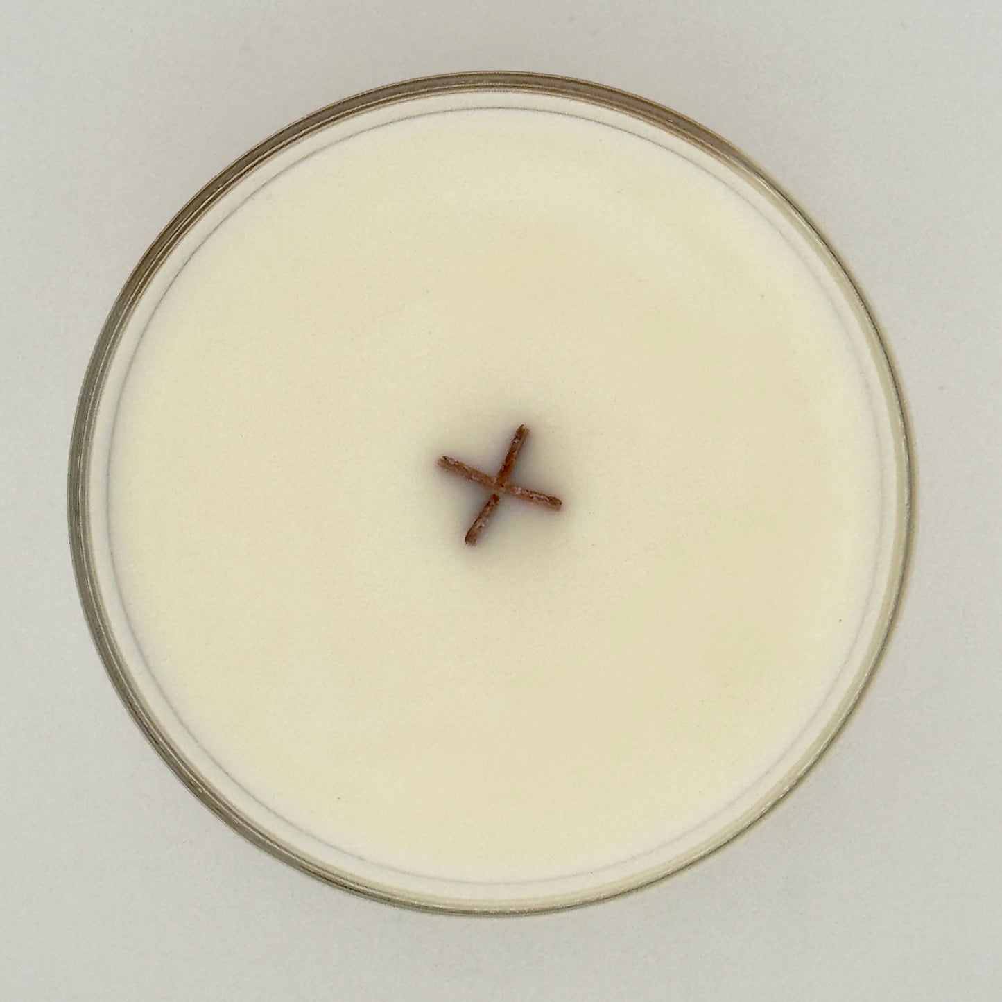 Winter Fir Scented Candle