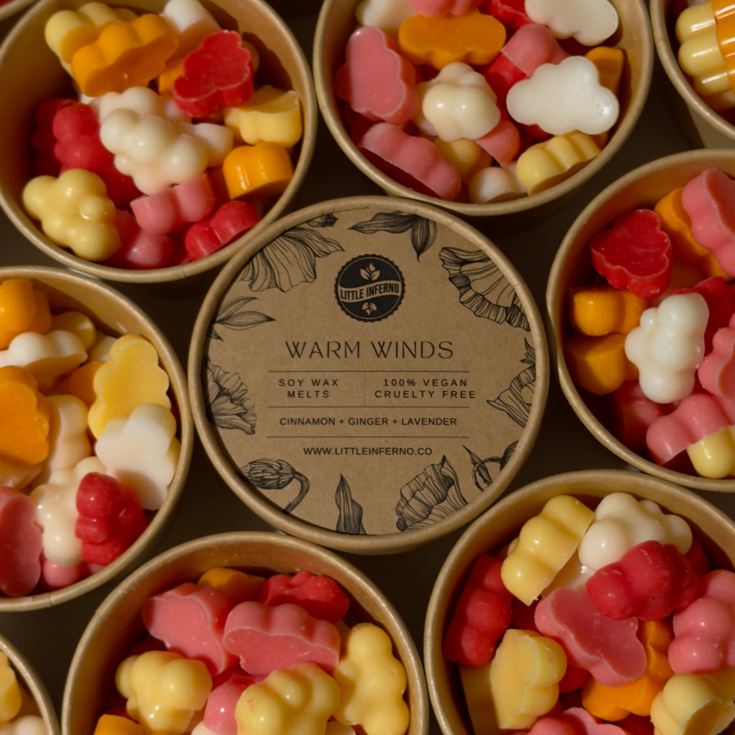 Warm Winds Scented Wax Melts