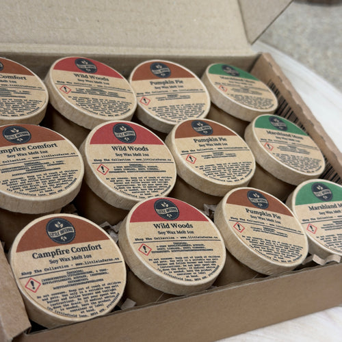 12 Mini Wax Melts