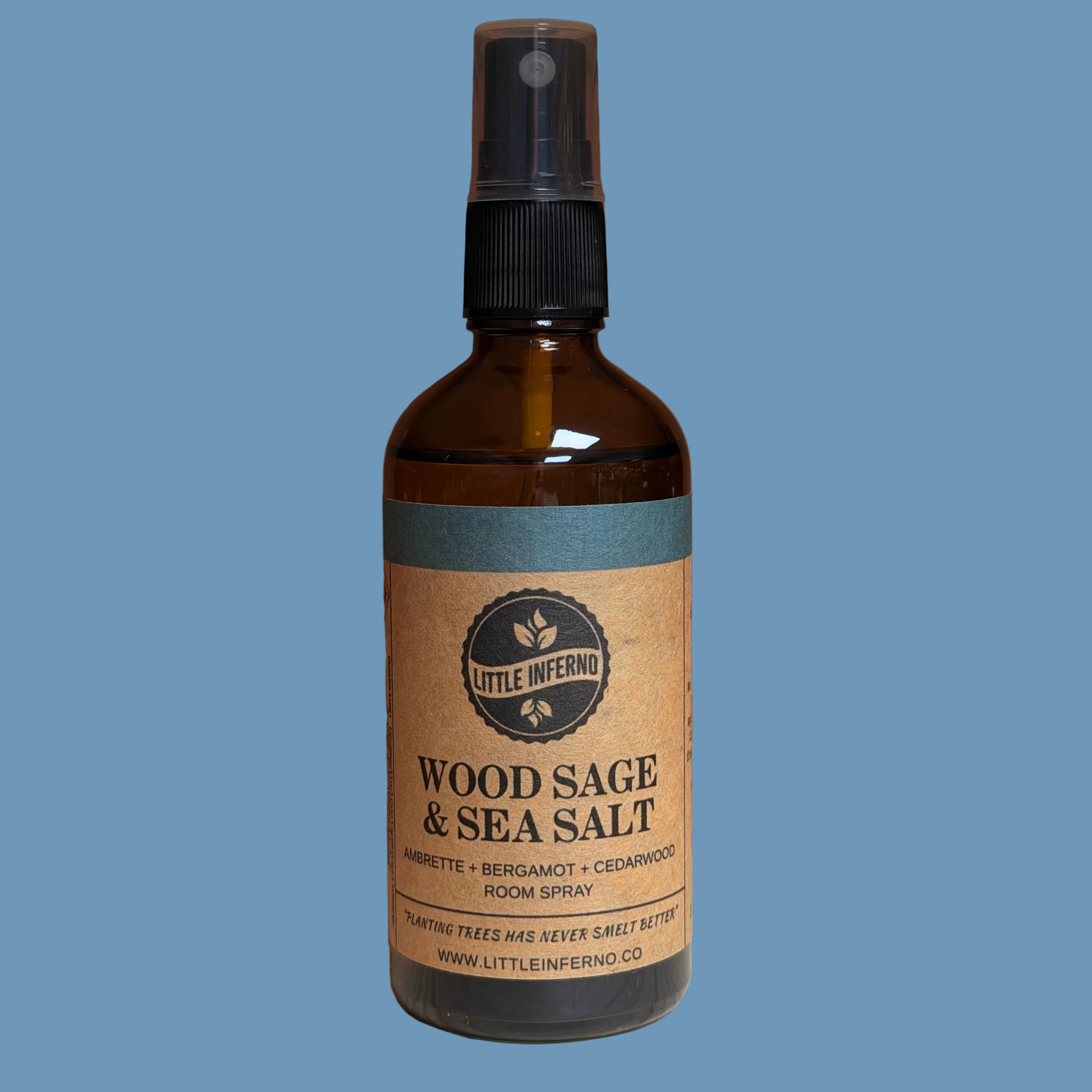 Wood Sage & Sea Salt Scented Room Spray