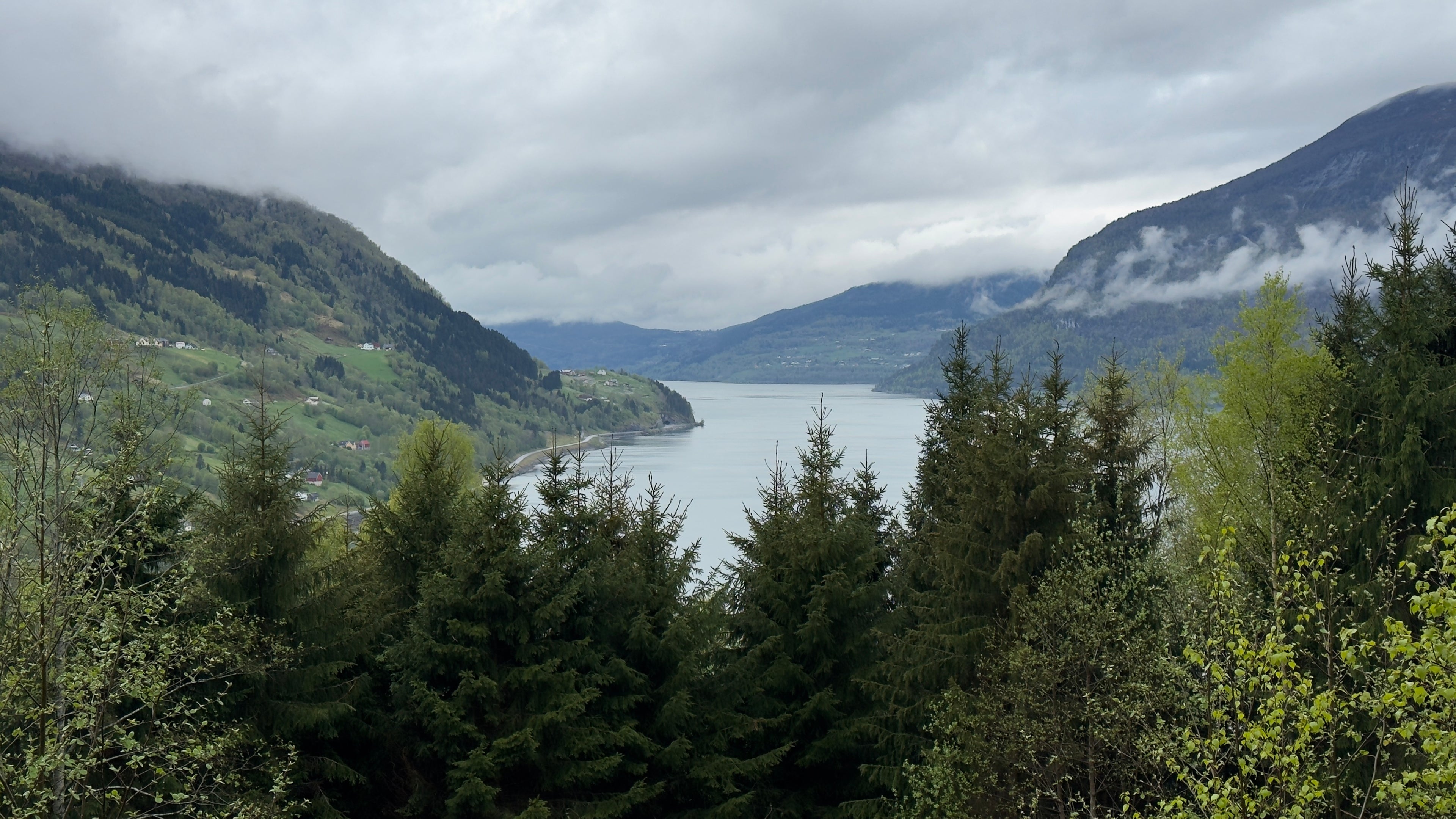 Lake surrounded by mountains and trees on a cloudy day