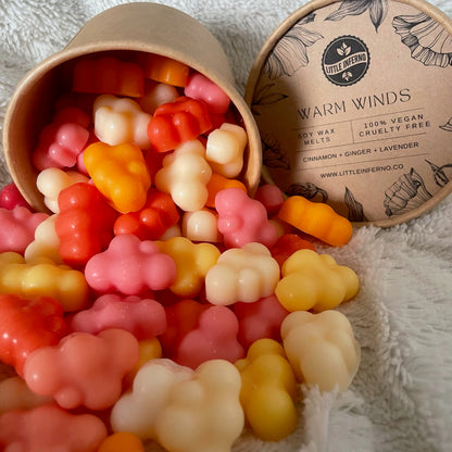 Warm Winds - Soy Wax Melts