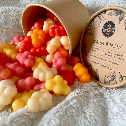 Warm Winds - Soy Wax Melts